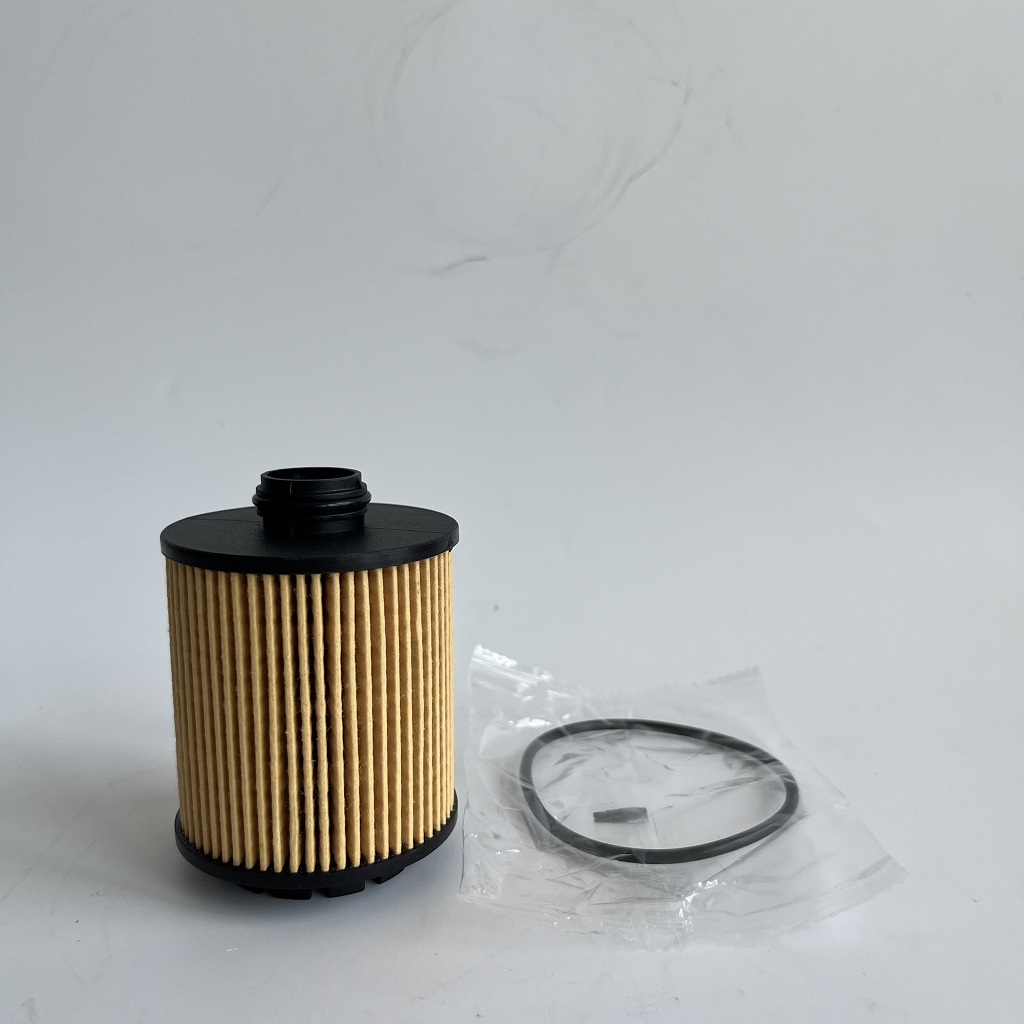 HU7043Z 1612565980 Filtre lwil pou Petgeot